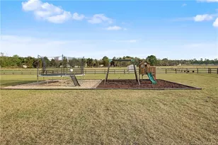 380 Sweet Grass Ln, Raeford, NC 28376 - Photo 42