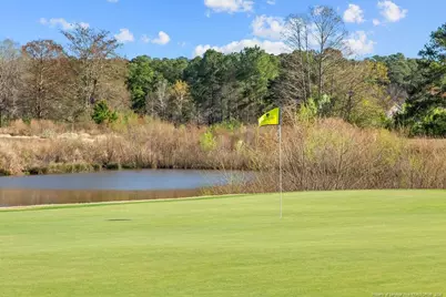 797 Daphne Lane, Vass, NC 28394 - Photo 16