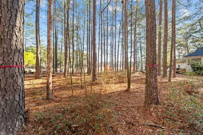 797 Daphne Lane, Vass, NC 28394 - Photo 6