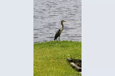 5048 Bluebird Drive, Sanford, NC 27332 - Photo 6