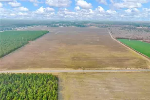 00 Paddow Meadows (Lot 11) Rd, Red Springs, NC 28377 - Photo 28