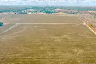 00 Paddock Meadows (Lot 14) Rd, Red Springs, NC 28377 - Photo 24