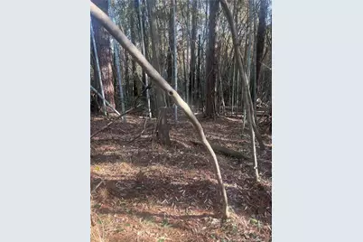 4636 Bragg Boulevard, Fayetteville, NC 28303 - Photo 22