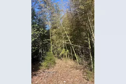 4636 Bragg Boulevard, Fayetteville, NC 28303 - Photo 20