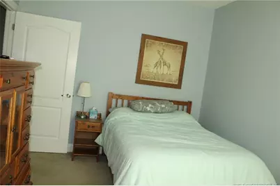 951 Lucian Hilliard Road, Goldston, NC 27252 - Photo 16