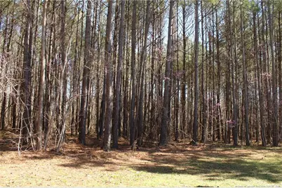 951 Lucian Hilliard Road, Goldston, NC 27252 - Photo 24