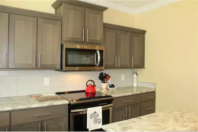 951 Lucian Hilliard Road, Goldston, NC 27252 - Photo 4