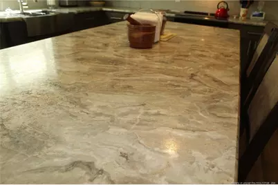 951 Lucian Hilliard Road, Goldston, NC 27252 - Photo 8