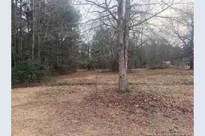 95 Eric Lane, Autryville, NC 28318 - Photo 4