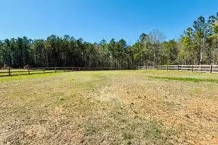 1468 Docs Rd, Lillington, NC 27546 - Photo 28