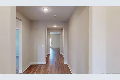 370 Bulldawg Lane, Raeford, NC 28376 - Photo 4
