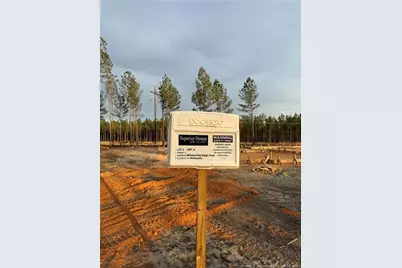 Tbd Doubs Chapel Lot 4 Road, West End, NC 27376 - Photo 2