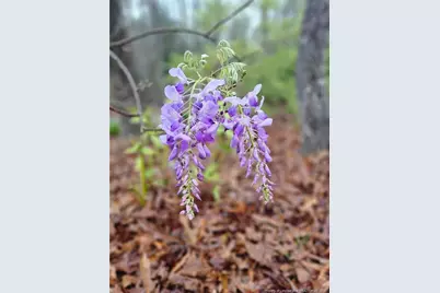 6 S Allyson Place, Vass, NC 28394 - Photo 42