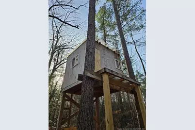 6 S Allyson Place, Vass, NC 28394 - Photo 44