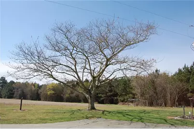 535 Poplar Springs Church Road, Sanford, NC 27330 - Photo 50