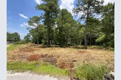 233 Clearview Court, Sanford, NC 27332 - Photo 8