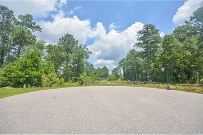 226 Clearview Court, Sanford, NC 27332 - Photo 12