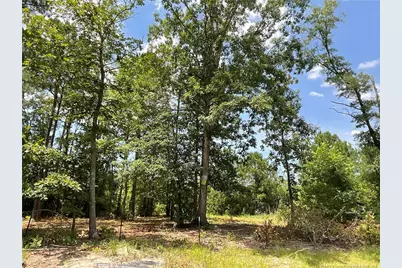 226 Clearview Court, Sanford, NC 27332 - Photo 8