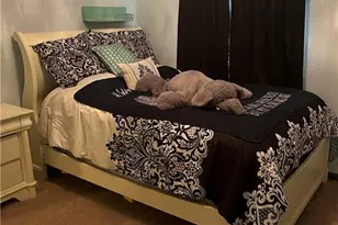 452 Sandlin Dr, Lumberton, NC 28358 - Photo 16