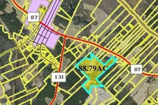 13441 Nc Hwy 87 W, , NC 28392 - Photo 12