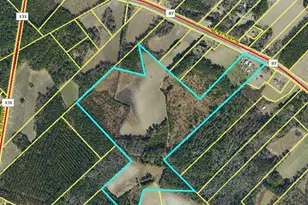 13441 Nc Hwy 87 W, , NC 28392 - Photo 14