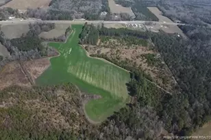 13441 Nc Hwy 87 W, , NC 28392 - Photo 8