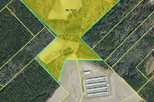 13441 Nc Hwy 87 W, , NC 28392 - Photo 18