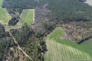 13441 Nc Hwy 87 W, , NC 28392 - Photo 4