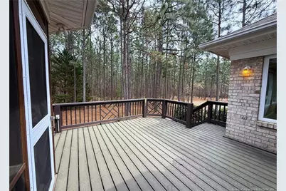 105 Morris Drive, West End, NC 27376 - Photo 38