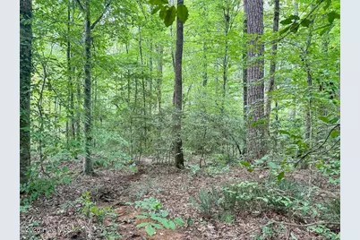 Tbd South Pointe Point, Sanford, NC 27330 - Photo 4