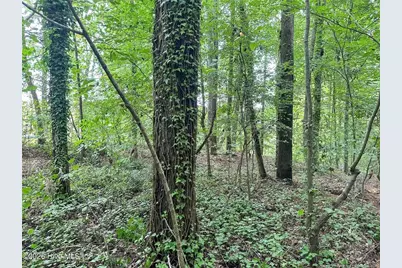 Tbd South Pointe Point, Sanford, NC 27330 - Photo 6