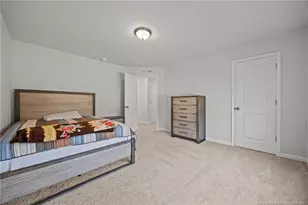 334 Beacon Hl Rd, Lillington, NC 27546 - Photo 28