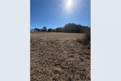 Tbd Rosser Pittman Road, Sanford, NC 27332 - Photo 4