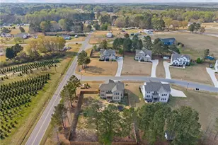 18 Two Belles Ct Ct, Angier, NC 27501 - Photo 36