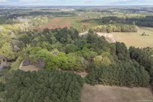 2218 Fairbluff Rd, Orrum, NC 28369 - Photo 46