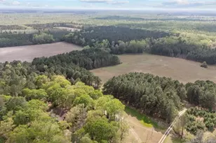 2218 Fairbluff Rd, Orrum, NC 28369 - Photo 42