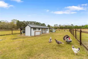 5535 Butler Nursery Rd, Fayetteville, NC 28306 - Photo 42