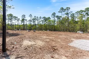 15640 Raccoon Run, Wagram, NC 28396 - Photo 14