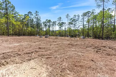 15640 Raccoon Run, Wagram, NC 28396 - Photo 16