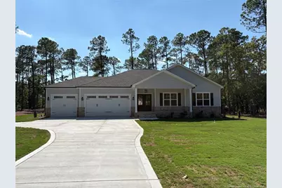 15640 Raccoon Run, Wagram, NC 28396 - Photo 1