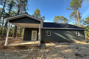 26720 Peach Orchard Rd, Wagram, NC 28396 - Photo 24