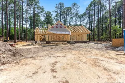 26720 Peach Orchard Road, Wagram, NC 28396 - Photo 12