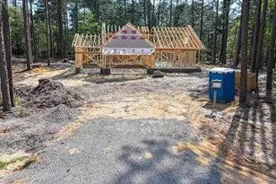 26720 Peach Orchard Rd, Wagram, NC 28396 - Photo 1
