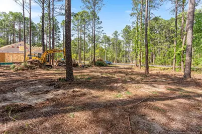 26700 Peach Orchard Road, Wagram, NC 28396 - Photo 16