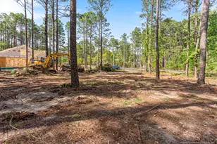 26700 Peach Orchard Rd, Wagram, NC 28396 - Photo 16