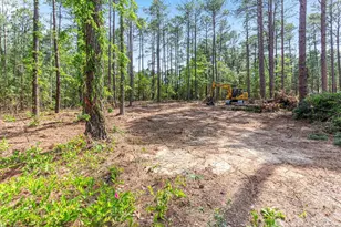 26700 Peach Orchard Rd, Wagram, NC 28396 - Photo 18