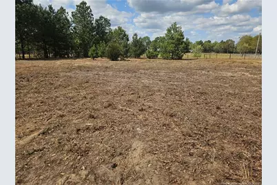 389 Corner Oaks Drive, Saint Pauls, NC 28384 - Photo 2