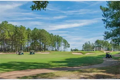 150 Spruce Hollow Circle, Spring Lake, NC 28390 - Photo 28