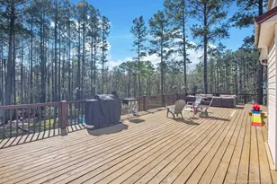 419 Senter Ln, Bunnlevel, NC 28323 - Photo 40