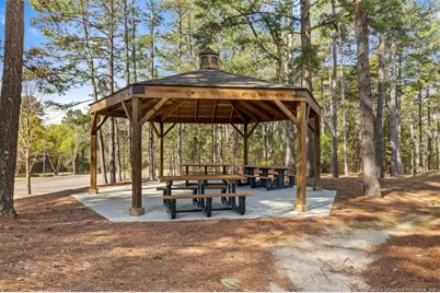 118 Otter Drive, West End, NC 27326 - Photo 22